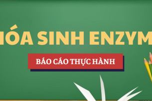 Báo cáo thực hành Hóa sinh Enzyme | Học phần Cơ sở hóa sinh | HUS-VNU - Trường Đại học Khoa học Tự nhiên, ĐHQGHN (2025)