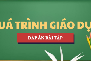 Đáp án bài tập Quá trình giáo dục | Học phần Lịch sử văn minh thế giới | Trường Đại học Sư phạm Thành phố Hồ Chí Minh