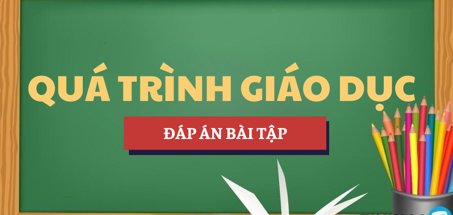 Đáp án bài tập Quá trình giáo dục | Học phần Lịch sử văn minh thế giới | Trường Đại học Sư phạm Thành phố Hồ Chí Minh