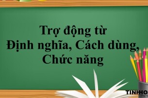 Trợ động từ là gì? | Định nghĩa, Cách dùng, Chức năng và bài tập vận dụng