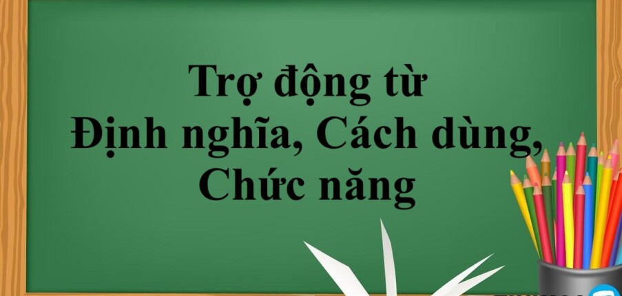 Trợ động từ là gì? | Định nghĩa, Cách dùng, Chức năng và bài tập vận dụng