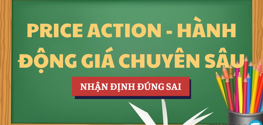 Nhận định đúng sai và đáp án bài tập môn Công pháp quốc tế | HUB - Trường Đại học Ngân hàng Thành phố Hồ Chí Minh