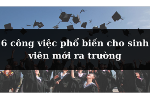 Gợi ý 6 công việc phổ biến cho sinh viên mới ra trường