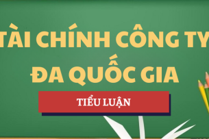 Tiểu luận So sánh 3 loại hình MNC: theo chiều ngang, theo chiều dọc, nhiều chiều | Học phần Tài chính Công ty Đa quốc gia | Tổng hợp các trường đại học (2025)