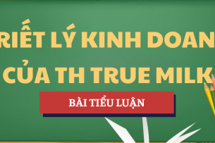 Tiểu luận Báo cáo thực tế doanh nghiệp: Triết lý kinh doanh của TH True Milk | Học phần Văn hóa doanh nghiệp | VLU - Trường Đại học Văn Lang (2025)