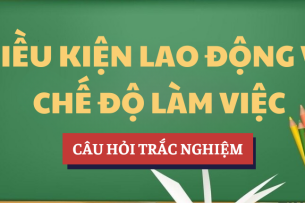 Tóm tắt lý thuyết Điều kiện lao động và Chế độ làm việc | Học phần Quản lý sự thay đổi trong tổ chức | Trường Đại Học Nội Vụ Hà Nội (2025)