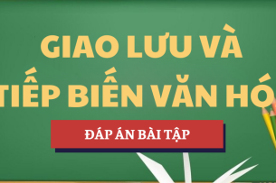 Đáp án bài tập môn Giao lưu và tiếp biến văn hóa | Đề cương tham khảo | HCMUT - Trường Đại học Bách khoa - Đại học Quốc gia Thành phố Hồ Chí Minh (2025)