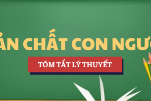Tóm tắt lý thuyết Bản chất con người | Học phần Tâm lý học phát triển | VLU - Trường Đại học Văn Lang (2025)
