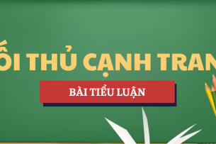 Tiểu luận Phân tích đối thủ cạnh tranh của Acecook | Học phần Marketing | TMU - Trường Đại học Thương mại (2025)