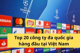 Công ty đa quốc gia là gì? Top 20 công ty đa quốc gia tại Việt Nam