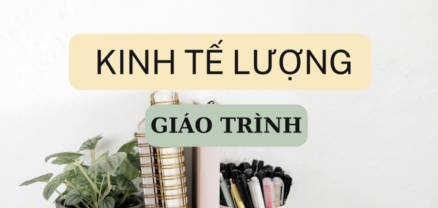 Giáo trình môn Kinh tế lượng | Đại học Kinh tế quốc dân