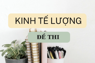 Đề thi cuối kỳ học phần (có đáp án) Kinh tế lượng | Đại học Kinh tế quốc dân (2025)