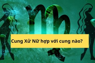 Xử Nữ hợp với cung nào? Top 3 cung hoàng đạo “hợp cạ” nhất với Xử Nữ