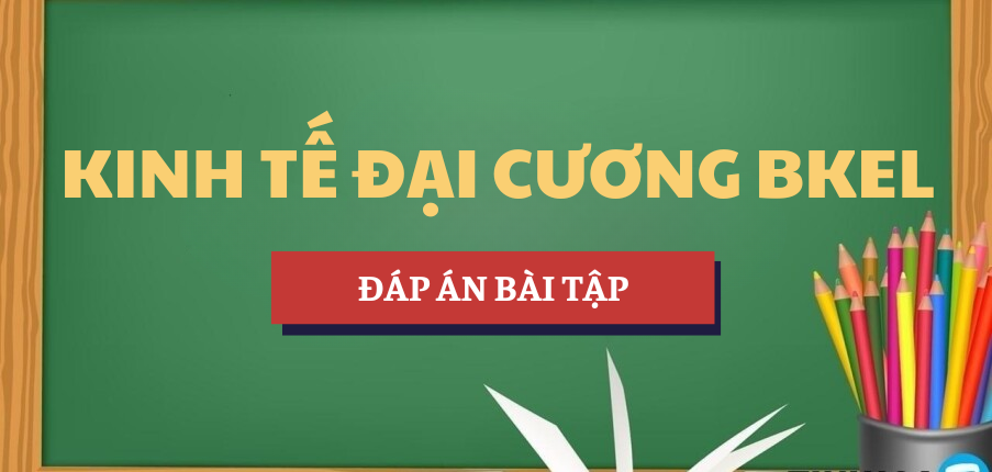 Bài tập trắc nghiệm Kinh tế đại cương BKEL | Câu hỏi ôn tập trắc nghiệm | HCMUT - Trường Đại học Bách khoa - Đại học Quốc gia Thành phố Hồ Chí Minh (2025)