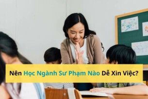 Nên Học Ngành Sư Phạm Nào Dễ Xin Việc? Top 5 Ngành Được Tuyển Dụng Nhiều Nhất (Cập Nhật 2025)