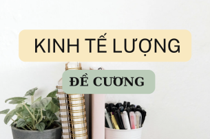 TOP 50 câu hỏi ôn tập học phần Kinh tế lượng ( có đáp án) | Đại học Kinh tế quốc dân (2025)