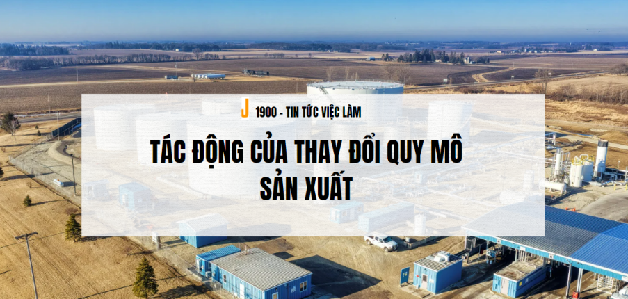 4 quy mô sản xuất trong doanh nghiệp bao gồm gì? Tác động của thay đổi quy mô sản xuất