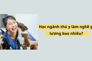 Ngành thú y học gì? ra trường làm gì? lương cao không?