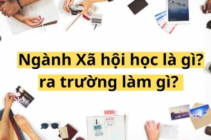 Ngành Xã hội học là gì? ra trường làm gì? (2025)