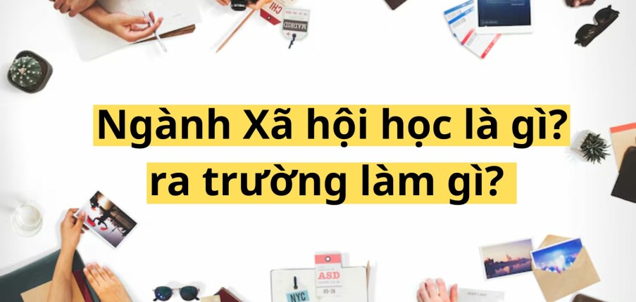 Ngành Xã hội học là gì? ra trường làm gì? (2025)