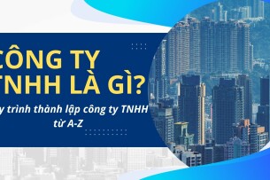 Công ty TNHH là gì? Giải mã chi tiết từ A-Z cho người mới khởi nghiệp