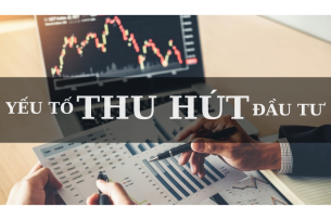 TOP 10 Yếu tố thu hút đầu tư tại thị trường Việt Nam