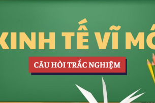 Bài tập trắc nghiệm Chương 3: Lý thuyết xác định sản lượng | Câu hỏi ôn tập trắc nghiệm Kinh tế vĩ mô | VLU - Trường Đại học Văn Lang (2025)