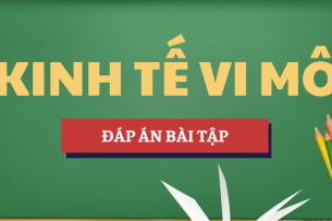 Đáp án bài tập Kinh tế vi mô | NEU - Đại học Kinh tế Quốc dân (2025)