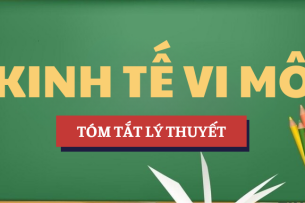 Tóm tắt lý thuyết Học phần Kinh tế vi mô | TDTU - Trường Đại học Tôn Đức Thắng (2025)