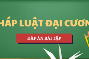 Đáp án bài tập Pháp luật đại cương | Trường Đại học Hoa Sen (2025)