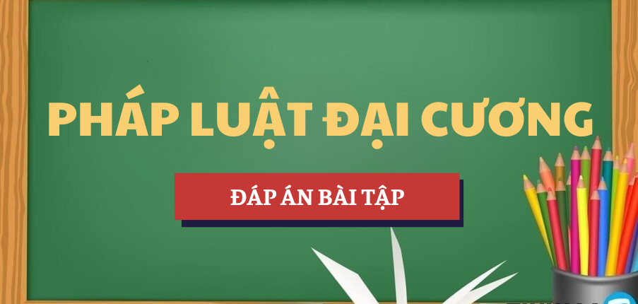 Đáp án bài tập Pháp luật đại cương | Trường Đại học Hoa Sen (2025)