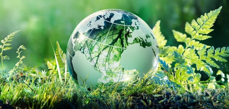 6 Chiến lược phát triển doanh nghiệp bền vững đến 2030