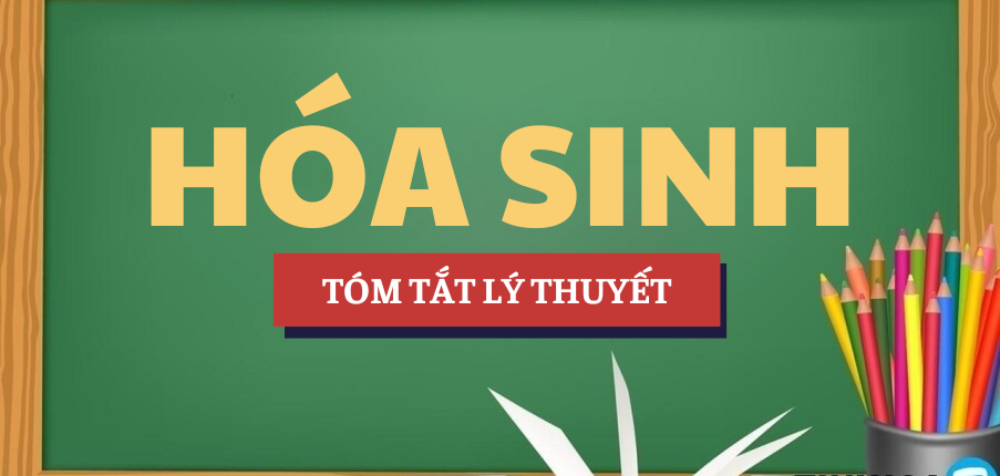 Tóm tắt lý thuyết Bài ca hóa trị và dãy điện hóa | Học phần Hóa sinh | NTTU - Trường Đại học Nguyễn Tất Thành (2025)
