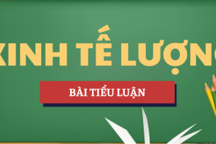 Tiểu luận Các yếu tố ảnh hưởng đến FDI Việt Nam trong phát triển kinh tế 2000 – 2020 | Học phần Kinh tế lượng | UEB - Trường Đại học Kinh tế, Đại học Quốc gia Hà Nội (2025)