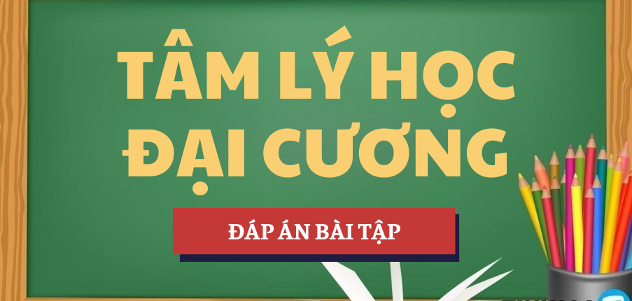 Đáp án bài tập Nhân cách và Tình cảm trong đời sống xã hội | Học phần Tâm lý học đại cương | TVU - Trường Đại học Trà Vinh (2025)