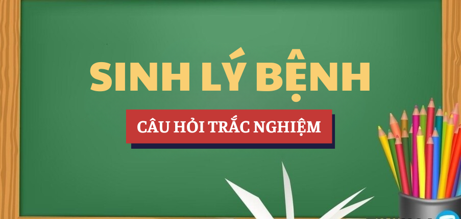 Bài tập trắc nghiệm Sinh lý bệnh | Câu hỏi ôn tập trắc nghiệm | VLU - Trường Đại học Văn Lang (2025)