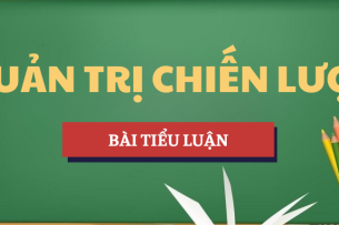 Tiểu luận Chiến lược phát triển của Tổng Công ty Cổ phần May Việt Tiến | Học phần Quản trị chiến lược | UEH - Trường Đại học Kinh tế Thành phố Hồ Chí Minh (2025)