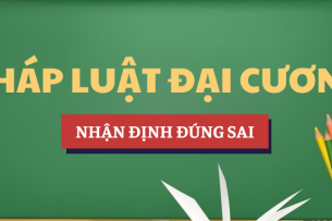 Nhận định đúng sai và đáp án bài tập môn Pháp luật đại cương | UDN - Đại học Đà Nẵng (2025)