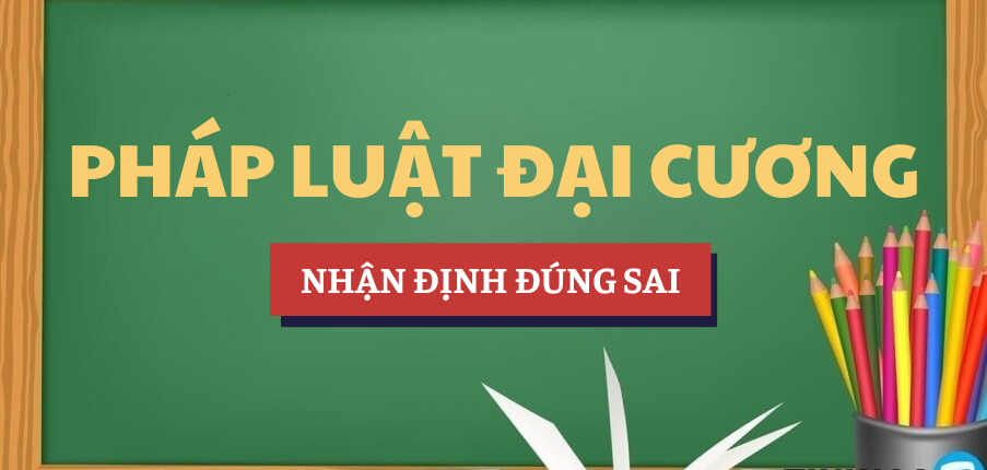 Nhận định đúng sai và đáp án bài tập môn Pháp luật đại cương | UDN - Đại học Đà Nẵng (2025)
