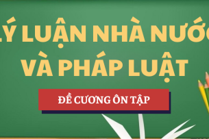 Đề cương ôn tập Lý luận nhà nước và pháp luật | Tóm tắt lý thuyết | HCMLAW - Trường Đại học Luật Thành phố Hồ Chí Minh (2025)