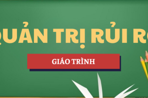 Giáo trình Quản trị rủi ro | UEB - Trường Đại học Kinh tế, Đại học Quốc gia Hà Nội (2025)
