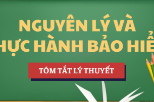 Tóm tắt lý thuyết Tổn thất trong bảo hiểm: Khái niệm, phân loại và rủi ro | Học phần Nguyên lí và thực hành bảo hiểm | UFM - Trường Đại học Tài chính - Marketing (2025)