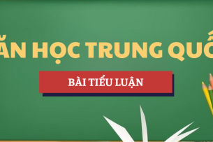 Tiểu luận Giới thiệu nhà thơ Đỗ Phủ | Học phần Văn học Trung Quốc | CTU - Trường Đại học Cần Thơ (2025)