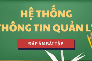 Đáp án bài tập Học phần Hệ thống thông tin quản lý | DUE - Trường Đại học Kinh tế, Đại học Đà Nẵng (2025)