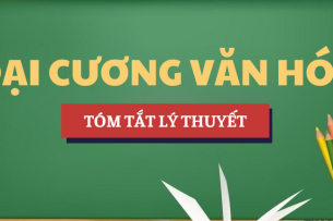 Tóm tắt lý thuyết Các đặc trưng cơ bản của văn hóa | Học phần Đại cương văn hóa | HLU - Trường Đại học Luật Hà Nội (2025)