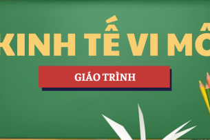 Giáo trình môn Kinh tế vi mô | UEH - Trường Đại học Kinh tế TP. Hồ Chí Minh (2025)