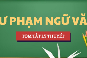 Tóm tắt lý thuyết Khái quát văn học trung đại Việt Nam | Học phần Sư phạm Ngữ văn | HNUE - Trường Đại học Sư phạm Hà Nội (2025)