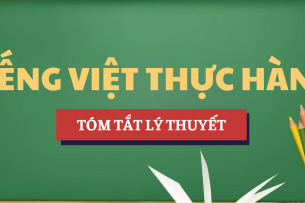Tóm tắt lý thuyết Bảng phiên âm âm vị học Tiếng Việt | Học phần Tiếng Việt thực hành | HUHA - Trường Đại học Nội vụ Hà Nội (2025)