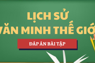 Đáp án bài tập Văn minh và Văn hóa | Học phần Lịch sử văn minh thế giới | NEU - Đại học Kinh tế Quốc dân (2025)