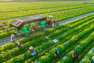 TOP 7 công ty logistics quốc tế chuyên tuyến nông sản & thực phẩm